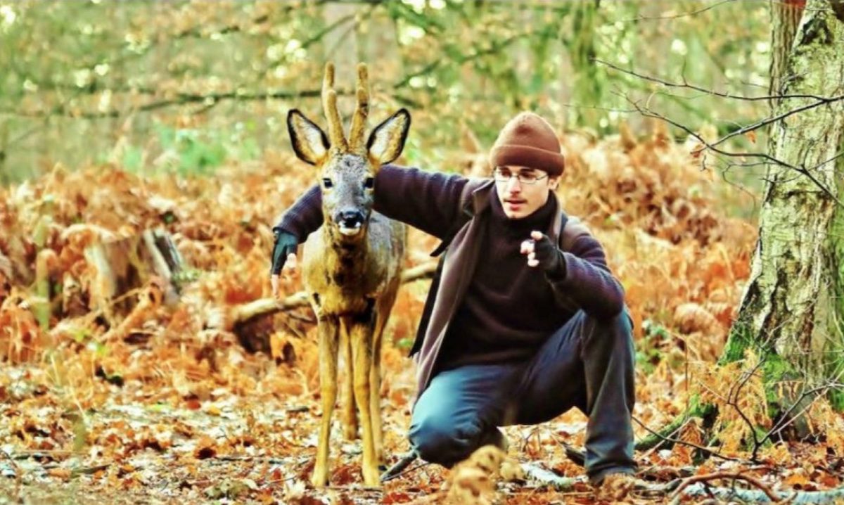 7 years of common life with the deers. Geoffrey Delorme aka Mr. Deer