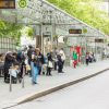 Germany is trialling a plan for free public transport in polluted cities