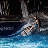 Surfen in der Schweiz mit der Swisscom Giga-Welle…