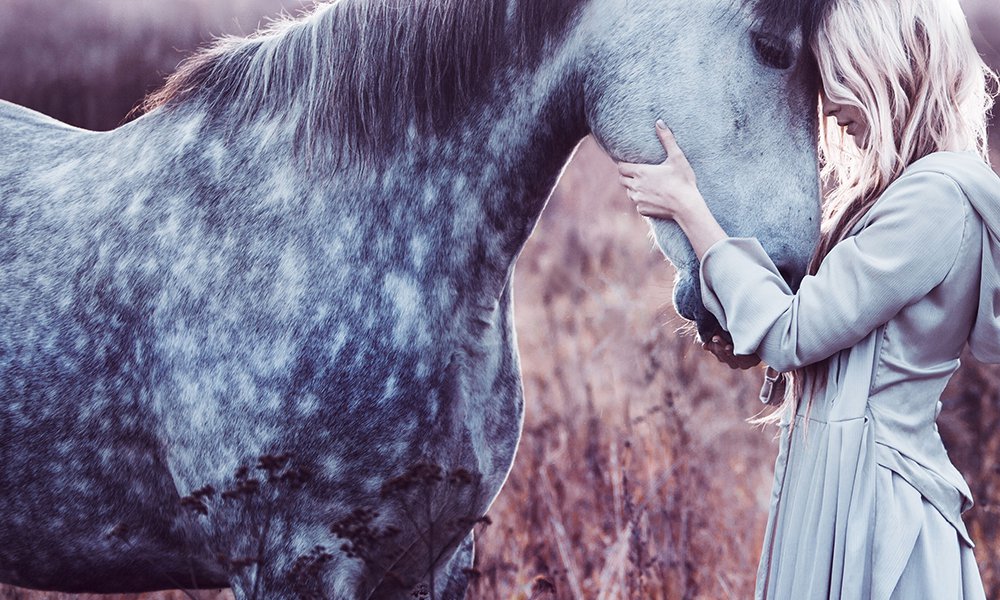 Study shows that horses understand our emotions and remember us deeply
