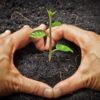 Participe au World Humus Restoration Day du 23 juillet 25