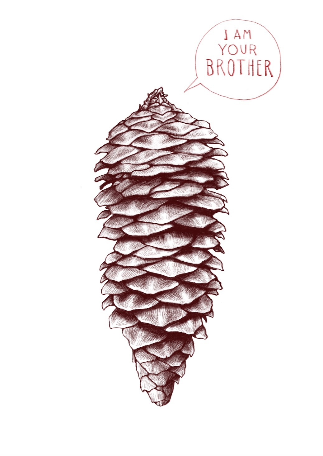 Pine cone’s voice… nature is speaking to us. A call of contributing in this planetary action