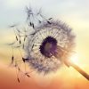 Je n’avance pas contre le vent, je n’avance pas avec le vent, je suis le vent…
