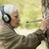 Judy Dench: The actor makes fascinating discoveries about how trees communicate…