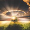 La nature nous a tout donné
