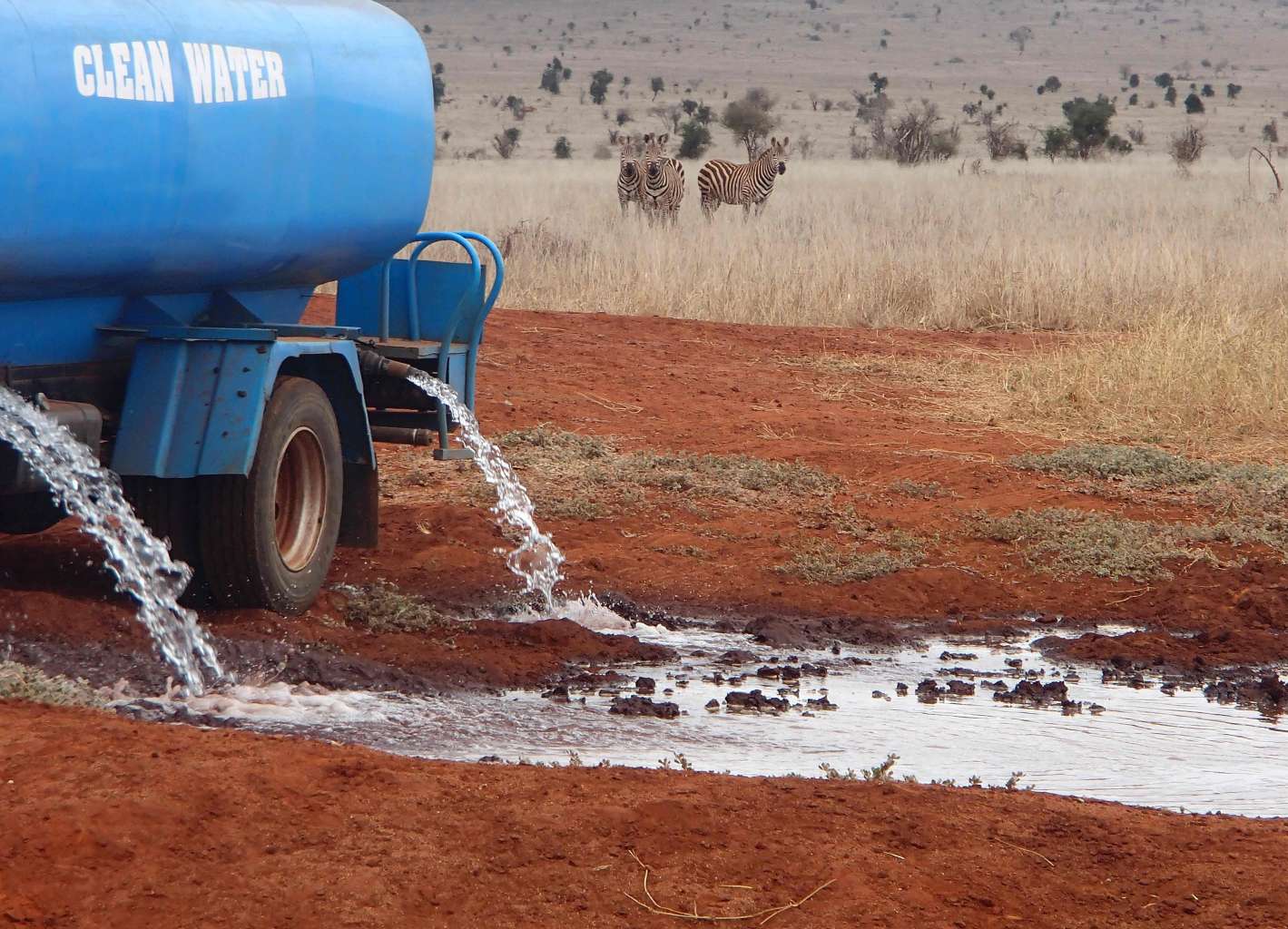 Unsung Heroes: Patrick Mwalua supplies drinking water to wild animals