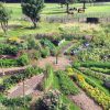Voici les 12 principes de la permaculture
