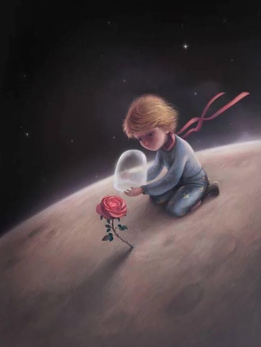 Die Welt ist der Spiegel unserer Seele – Le Petit Prince