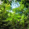 Nature & Découvertes – des magasins magnifiquement proches de la nature