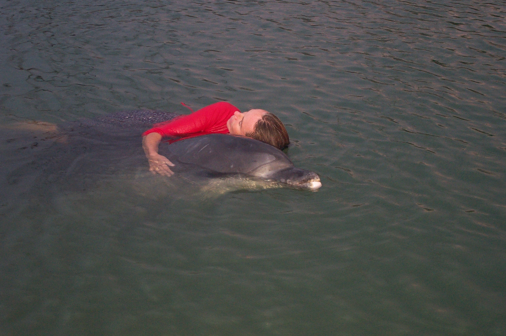 L’institut Dony crée en 2006 a pour vocation de favoriser les rencontres humaines/ dauphins