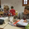 UNE ÉCOLE INTÈGRE LA «RONRON THÉRAPIE» DANS SES CLASSES