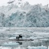 “Elegy for the Arctic” by Ludovico Einaudi & Greenpeace