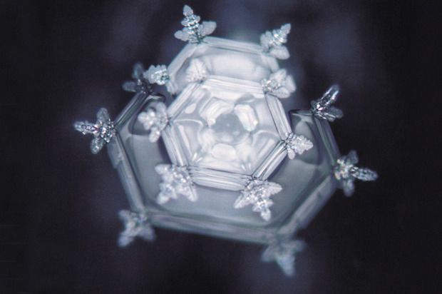 The Power of our thoughts on water – Dr. Masaru Emoto