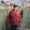Geniale EM-Technologie ermöglicht pestizidfreie Landwirtschaft und Waschen ohne Waschmittel!