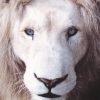 Global White Lion Trust