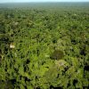 Hallelujah! Brazil court suspends decree allowing Amazon reserve mining.