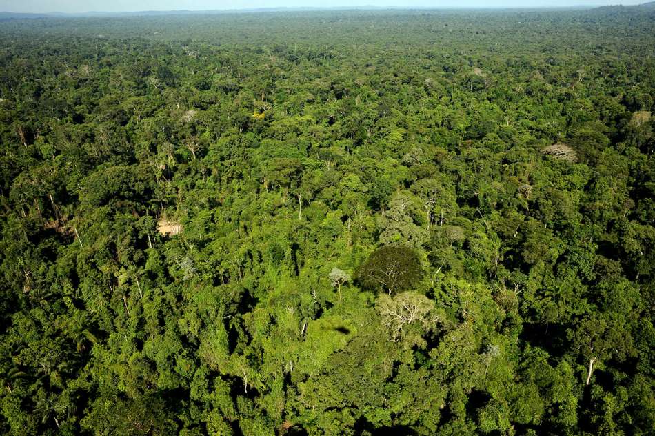 Hallelujah! Brazil court suspends decree allowing Amazon reserve mining.